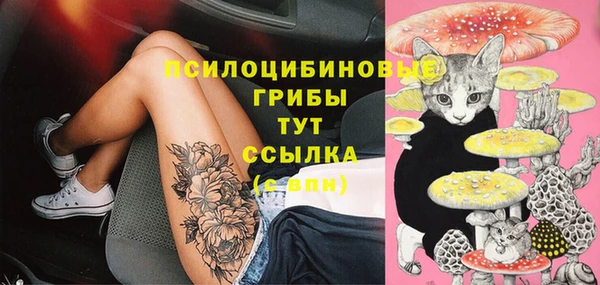 spice Балабаново